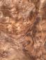 morepic-1