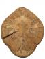 morepic-1
