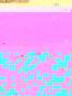 morepic-1