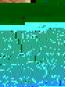 morepic-1