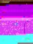 morepic-1
