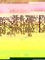 morepic-1