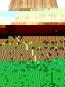 morepic-1