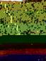 morepic-1