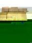 morepic-1