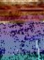 morepic-1