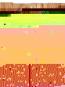 morepic-1