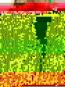 morepic-1