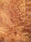 morepic-1