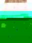 morepic-1