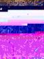 morepic-1