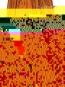 morepic-1