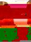 morepic-1