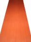 morepic-1
