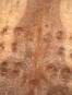morepic-2