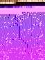morepic-2