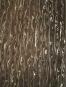 morepic-2