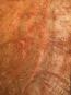 morepic-3