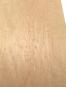 morepic-4