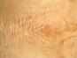 morepic-4