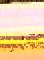 morepic-4