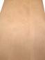 morepic-4