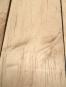 morepic-5