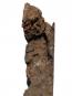 morepic-6