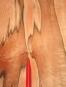 morepic-6