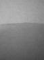 morepic-7