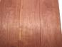 morepic-9